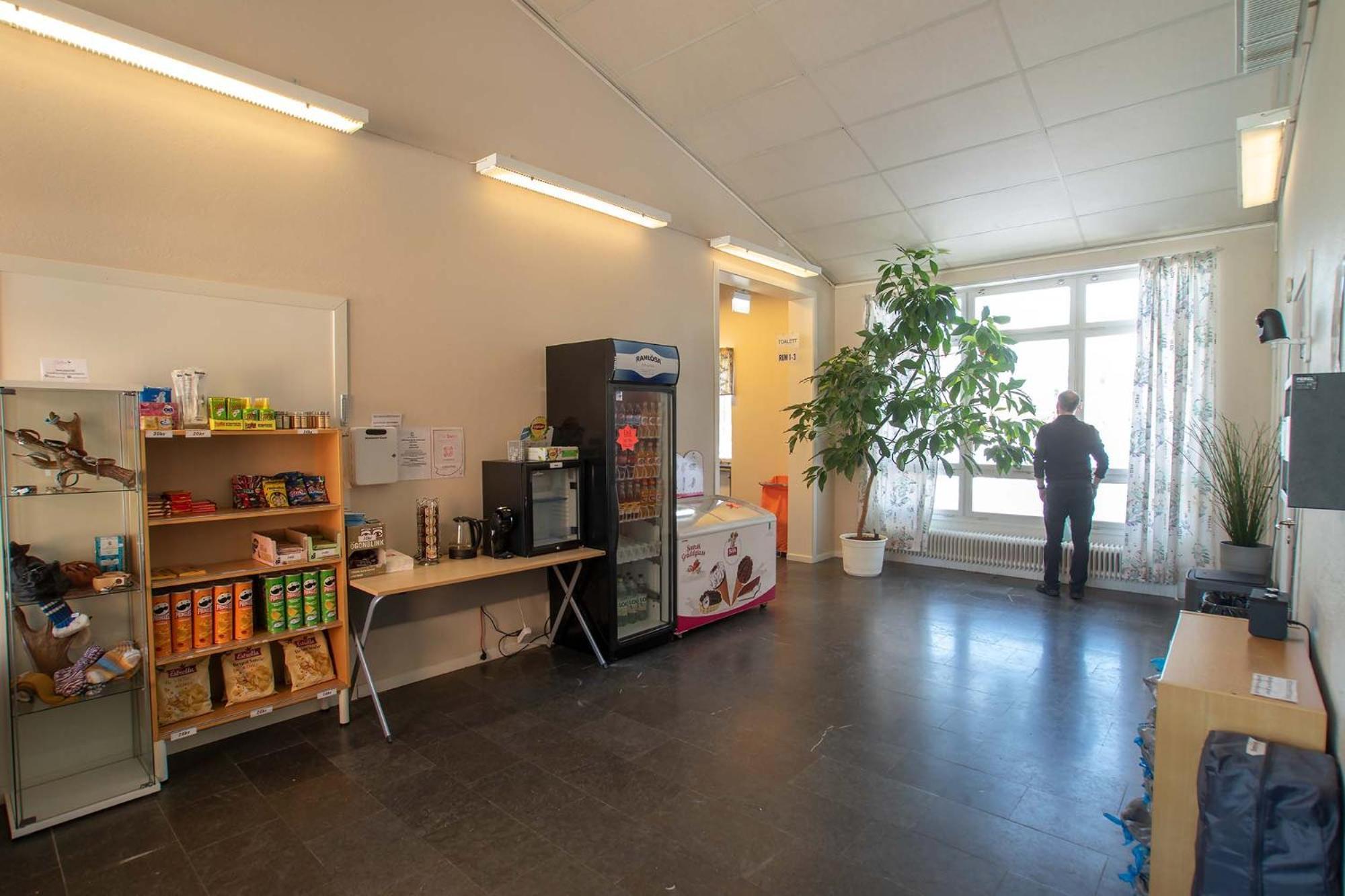 Dalasjoe Vandrarhem Vilhelmina Eksteriør billede