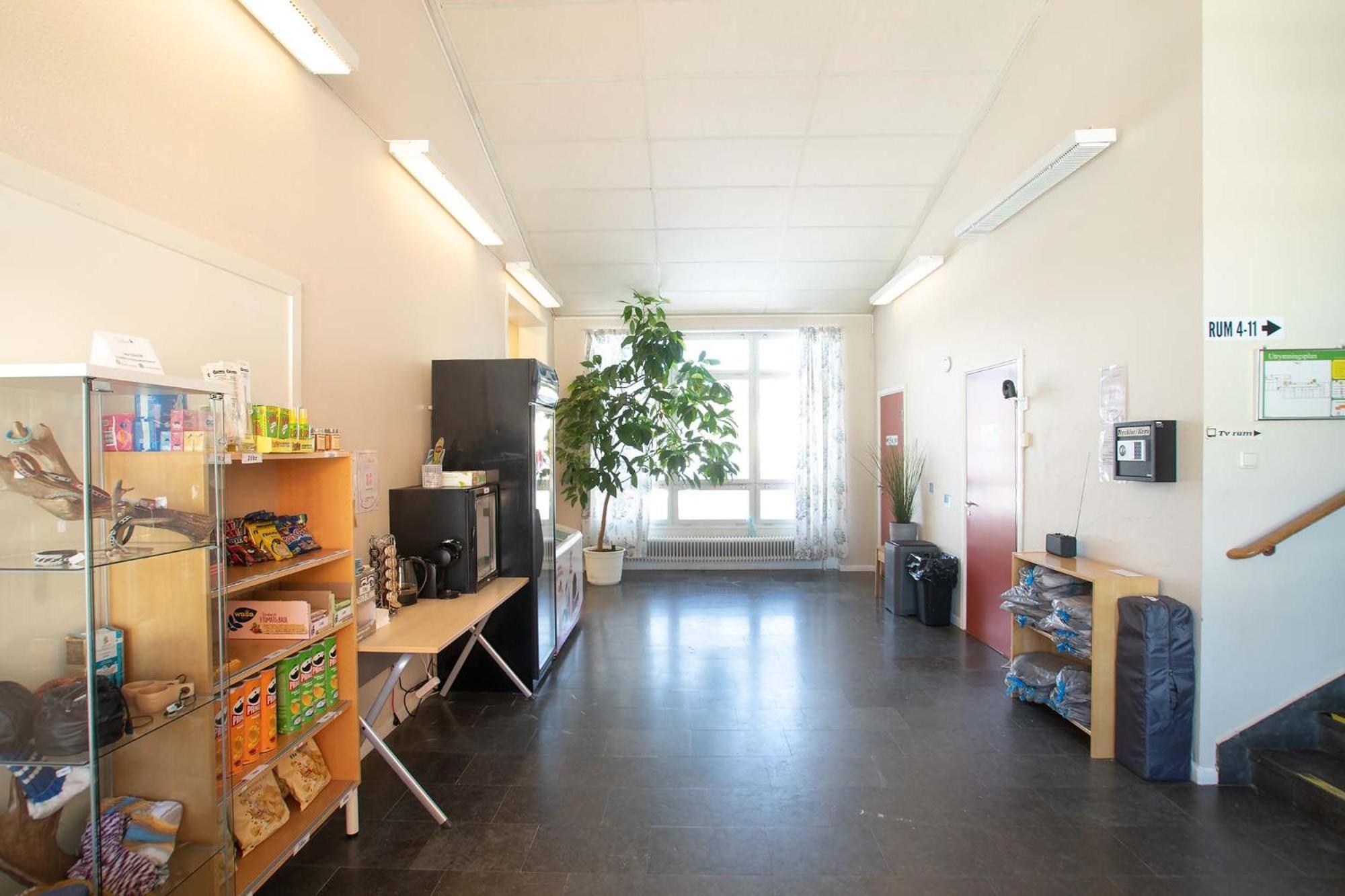 Dalasjoe Vandrarhem Vilhelmina Eksteriør billede